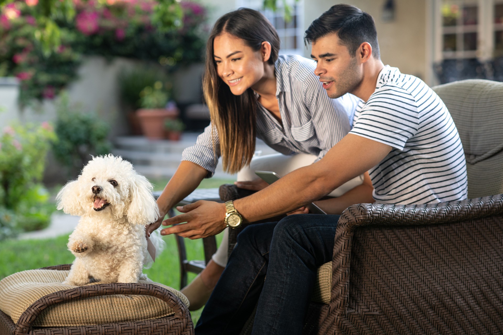 Young Hispanic Couple Online Shopping With Their Dog In The Backyard