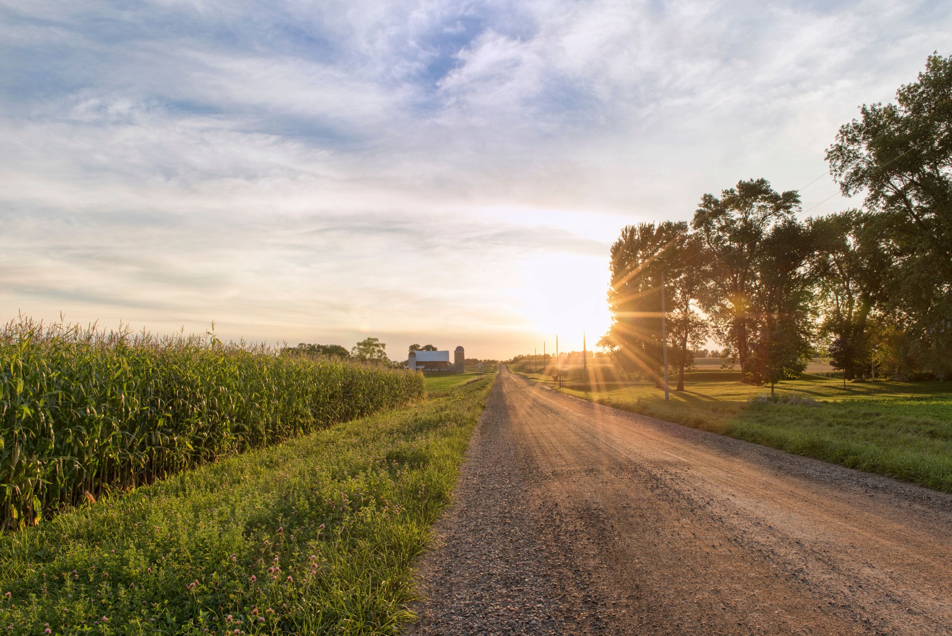 Country scene during late summer autumn sunset.