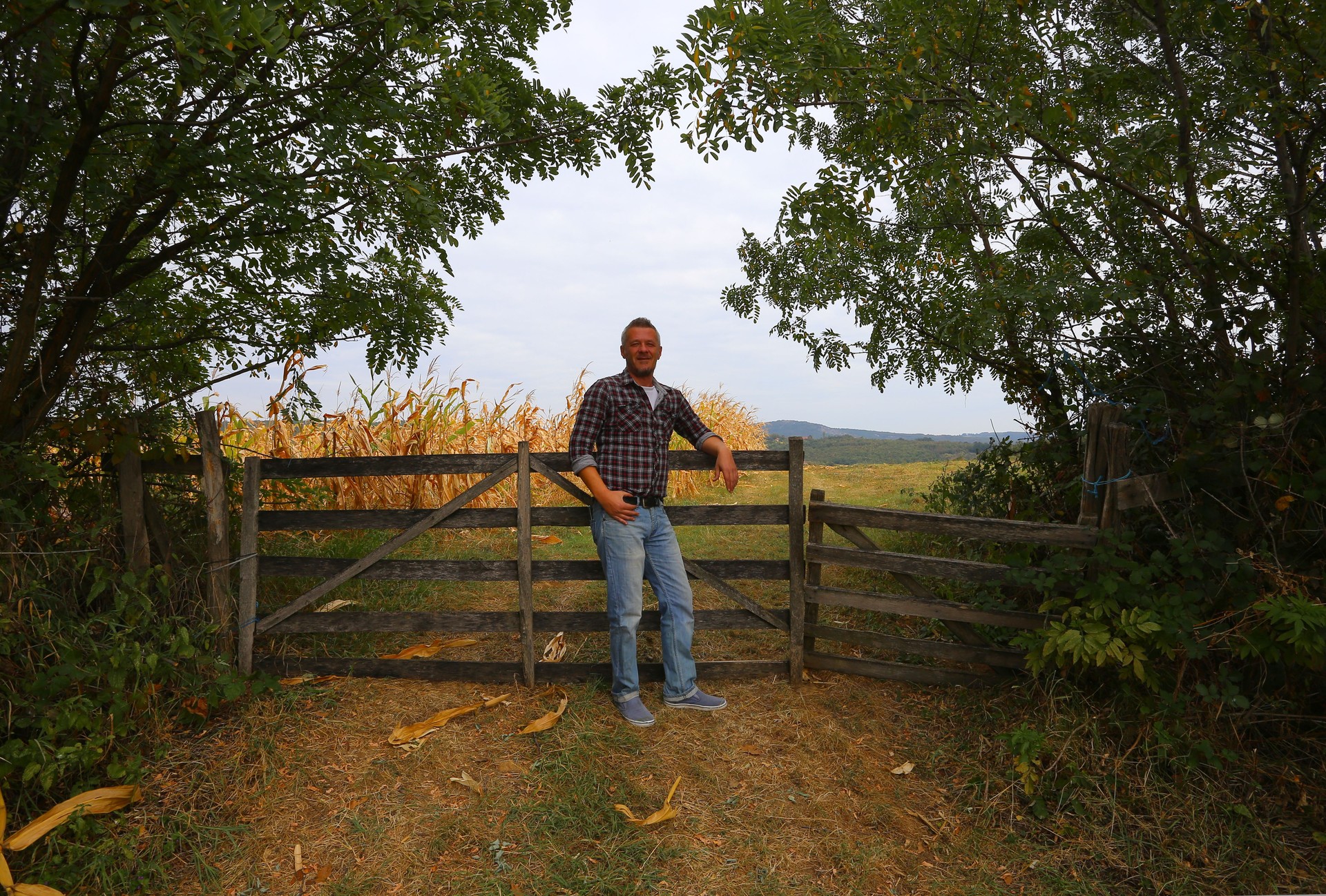 Happy farmer leaning on the wooden gate entrance at his abundant field of growing corn